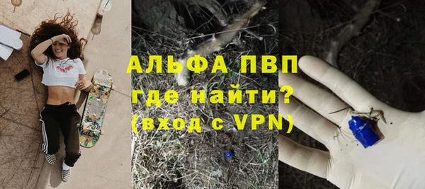 твердый Абаза
