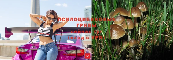 соль ск Абдулино